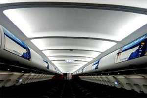 панелина багажные полки в самолетах